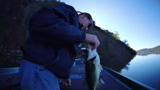 Lake Taneycomo 11 11 24 Bass fishing Report ozarksbassinguideservicellccom [upl. by Dyke]