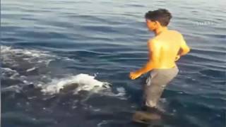 Iranian fisherman Riding on the back of a whale shark [upl. by Brett220]