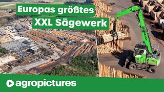 Größtes Sägewerk Europas – Ziegler Group  SENNEBOGEN 735E Pick amp Carry Umschlagbagger  Holz Doku [upl. by Sibie]