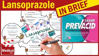 Lansoprazole  Prevacid  What is Lansoprazole Used For Dosage Side Effects amp Precautions [upl. by Triny512]