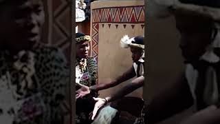 Imithente  Isidikiselo maskandi traditionalmusic youtubeshorts shorts [upl. by Westphal]