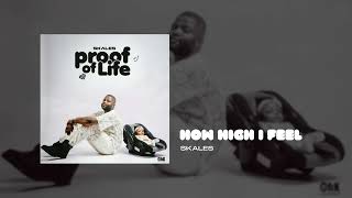 Skales  How High I Feel Official Audio [upl. by Gernhard]