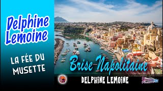 Brise Napolitaine Delphine Lemoine La Fée du Musette Valse [upl. by Haelem]