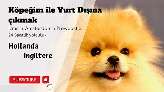 Köpeğim ile yurt dışına çıkmak 24 saatlik yolculuk [upl. by Steen]