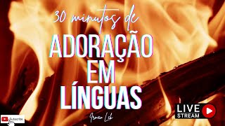 30 MINUTOS DE ORAÇÃO E ADORAÇÃO EM LÍNGUAS ESTRANHAS 180821 [upl. by Suollecram]