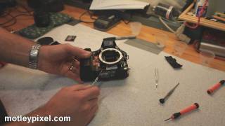 Canon EOS 30D Shutter Repair Part 2SUCCESS [upl. by Hgeilhsa]