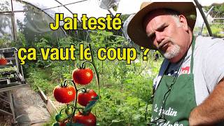 Le résultat Jai testé la plantation précoce des tomates [upl. by Trini]