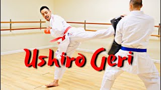 USHIRO GERI TUTORIAL Spinning Back Kick [upl. by Ithaman]