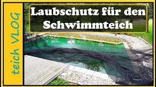 Blätter im Teich Wir testen die einfache Lösung mit dem Laubnetz [upl. by Weinshienk]