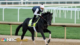 Steve Kornacki provides his analysis ahead of the Kentucky Derby  NBC Sports [upl. by Bean886]