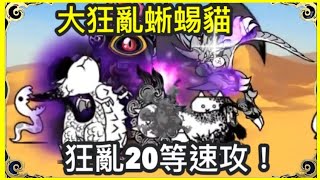 貓咪大戰爭 【大狂亂蜥蜴貓降臨 狂龍？極難】狂亂20等速攻 [upl. by Brandt761]