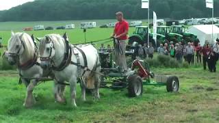 PferdeStark 2017 Präsentation landwirtschaftlicher Zuggeräte sowie Leistungspflügen [upl. by Bland320]