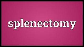 Splenectomy Meaning [upl. by Tullus]