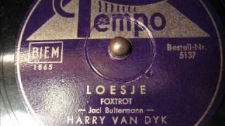 Harry van Dyk  Wie is Loesje [upl. by Hollington]