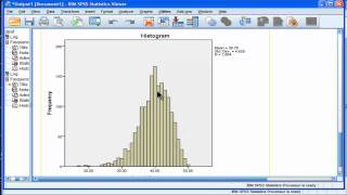 Kurtosis  SPSS part 2 [upl. by Kevina]