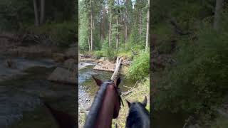 Exploring new places mountains horse mountainlife western ranchlife adventure horse animals [upl. by Camel]