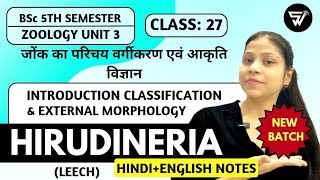 Introduction Classification Morphology of HIRUDINERIA LEECHBSc 5th Semester ZOOLOGY Unit 3 [upl. by Edie154]