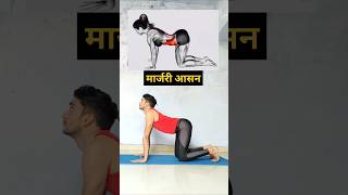 marjariasana yoga beginners yogalife flexibility backpain explore ytshorts shorts foryou [upl. by Enialb]