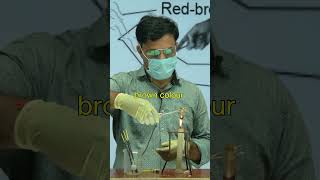 Decomposition Reaction  Class 10th MpBoardStudyzone byvinod sir experiment science chemistry [upl. by Aicnom]