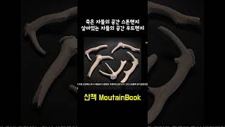 죽은 자들의 공간 스톤헨지Stonehenge 살아 있는 자들의 공간 우드헨지Woodhenge [upl. by Ravahs]