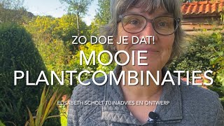 Zo doe je dat MOOIE PLANTCOMBINATIES [upl. by Naiditch]