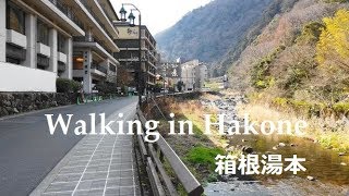 46 Walking in Hakone  Japanese famous spa town 箱根湯本を散策 [upl. by Kovacev]