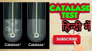 Catalase test bacterial identification in hindi [upl. by Acirfa]