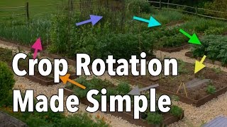 Crop Rotation Made Simple  Rotate Your Vegetable Beds for Healthier Produce [upl. by Ardnola933]