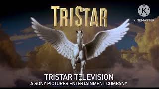 TriStar Television 1992 Logo Remake [upl. by Enovi856]