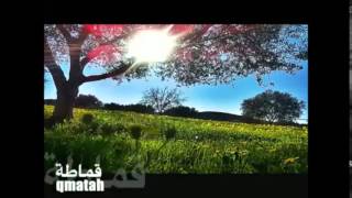 Libyan MusicAna Libi I am Libyan [upl. by Orgalim]