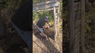 Lets Build a Woodshed Preparing for Winter Part 2 homesteading building preparation woodshed [upl. by Nylidnam]