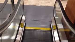 STORE CLOSED Schindler Escalators At Former Lord amp Taylor Woodfield Mall In Schaumburg IL [upl. by Nohsyar]