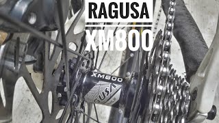 RAGUSA XM800 6 PAWLS HUB SOUND [upl. by Brawley]