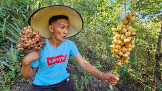 La fruta silvestre piñuela amarilla [upl. by Yukio]