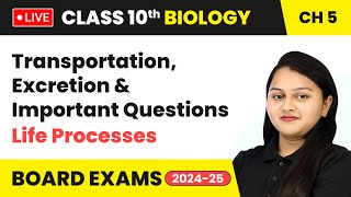 Transportation Excretion and Important Questions  Class 10 Biology Chapter 5  CBSE 2024 live [upl. by Balduin983]