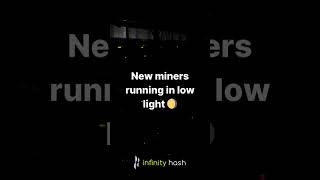 New miners running in low light 🌖 [upl. by Lodnar]