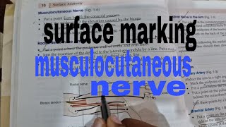 surface marking of musculocutaneous nerve anatomy [upl. by Mirielle294]