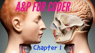 ANATOMY amp PHYSIOLOGY FOR CODERS  CHAPTER 01 SKELETAL SYSTEM [upl. by Kingsley]