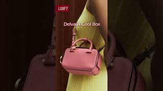 5 Delvaux Bags That Are Worth Collecting shorts [upl. by Thurmond]