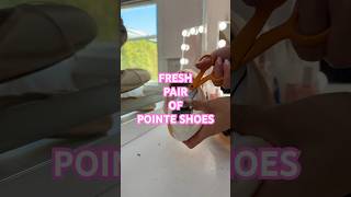 BREAKING IN POINTE SHOES asmrballerinapointeshoesnovemberdancerballetnewballetdancer [upl. by Manaker]