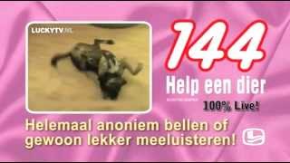 144 help een dier  LuckyTV [upl. by Hoffman]