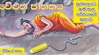 වේළුක ජාතකය  ජාතක කතා  jathaka katha sinhala  ජාතක කතා සිංහල  jathaka katha  ජාතක කථා  බන කතා [upl. by Benny2]