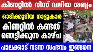 പാലക്കാട് നടന്ന സംഭവം ഇങ്ങനെ  Mallu insider [upl. by Eenej]