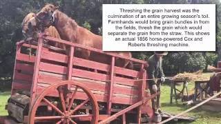 1856 horsepowered Cox and Roberts threshing machine Kelley Farm Minnesota [upl. by Almena]