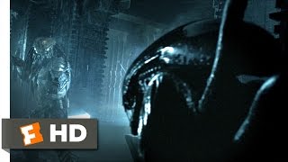 AVP Alien vs Predator 2004  Alien vs Predator Scene 25  Movieclips [upl. by True]