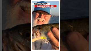 Speckled TROUT‼️ fishingvideosnew2024 fishingshortvideo troutfishing [upl. by Elstan]