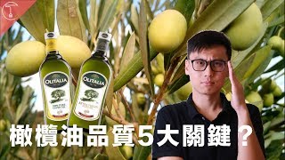 特級初榨？純橄欖油？教你一次弄懂橄欖油分級｜克里斯丁聊料理 [upl. by Roque]