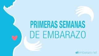 Primeras semanas de embarazo  El embarazo semana a semana [upl. by Adar]