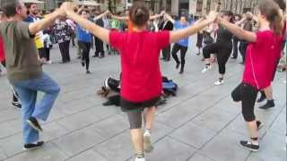 La Sardana  Danza en las calles de Barcelona [upl. by Dowzall]