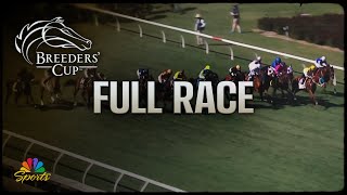 Breeders Cup 2024 TAA Stakes Full Race  NBC Sports [upl. by Maier]